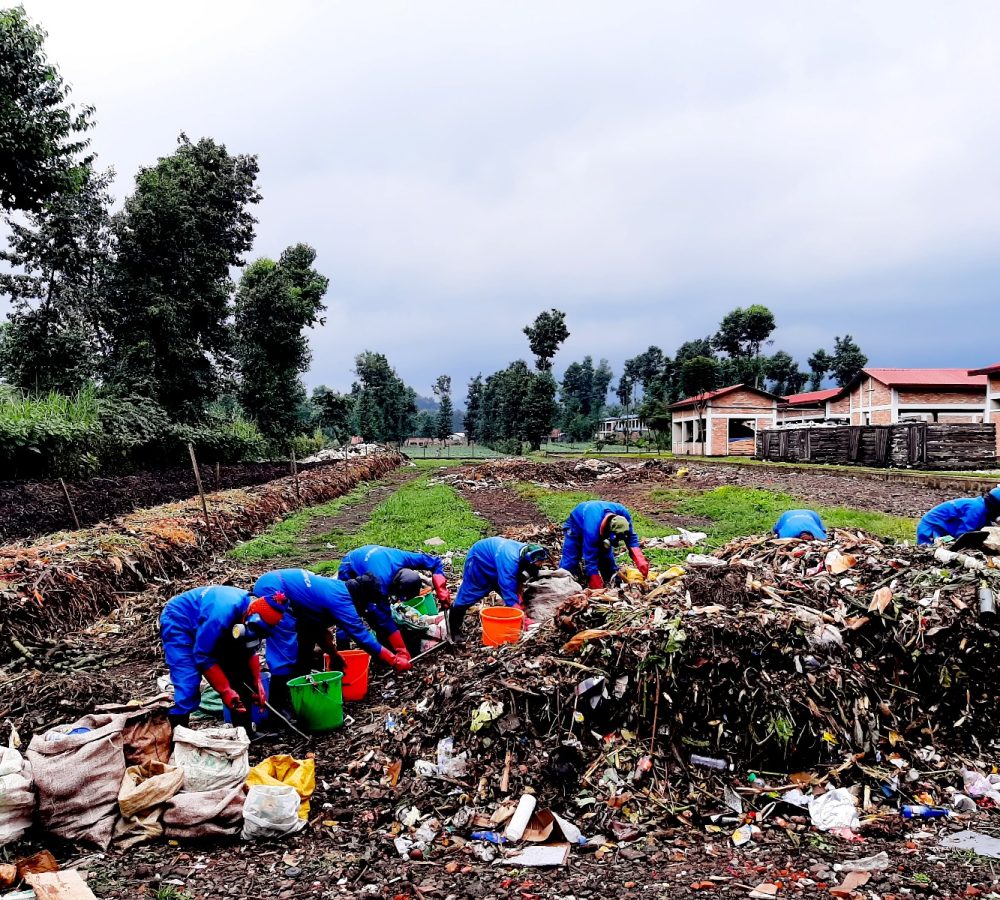 Environmental Consulting